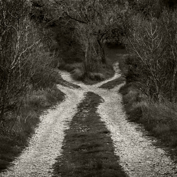 Photograph Zeljko Jurcic Dilemma on One Eyeland
